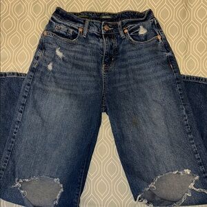 Wild Fable Distressed Blue Women's Jeans